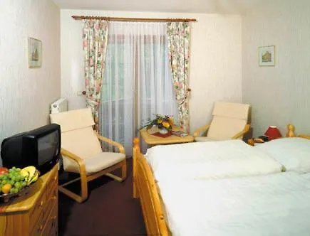 Hotel Zum Loewen 3*