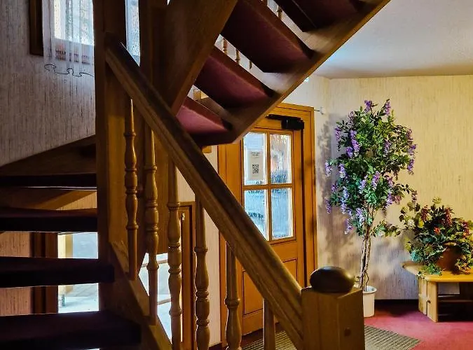 호텔 Zum Loewen 3*