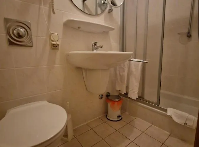 Zum Loewen 호텔 3*