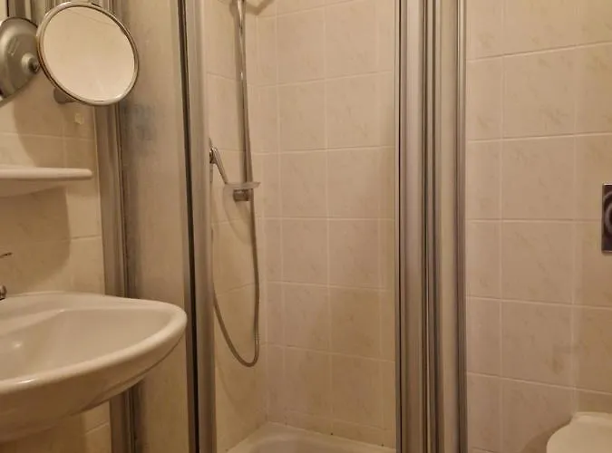 Zum Loewen 호텔 3*