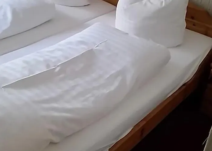 Zum Loewen 3* 토트무스